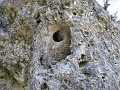 Mackinaw Island Area May 2008 0895